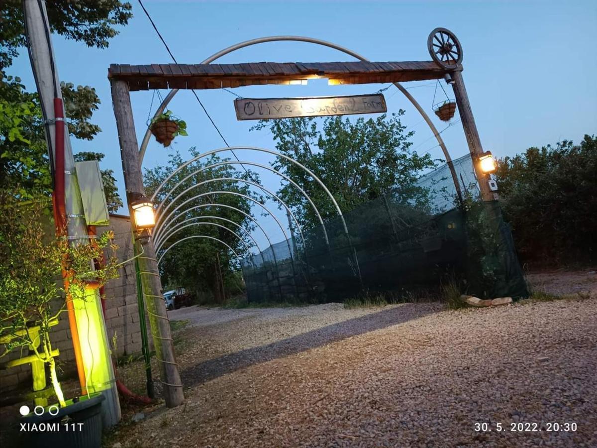 Olive Garden 2 Farm Apartman Ulcinj Kültér fotó